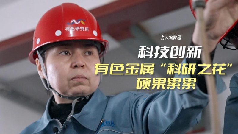 金融数据治理：揭秘高效案例背后的关键要素